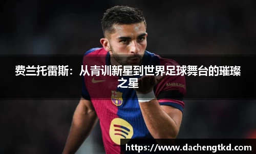 费兰托雷斯：从青训新星到世界足球舞台的璀璨之星